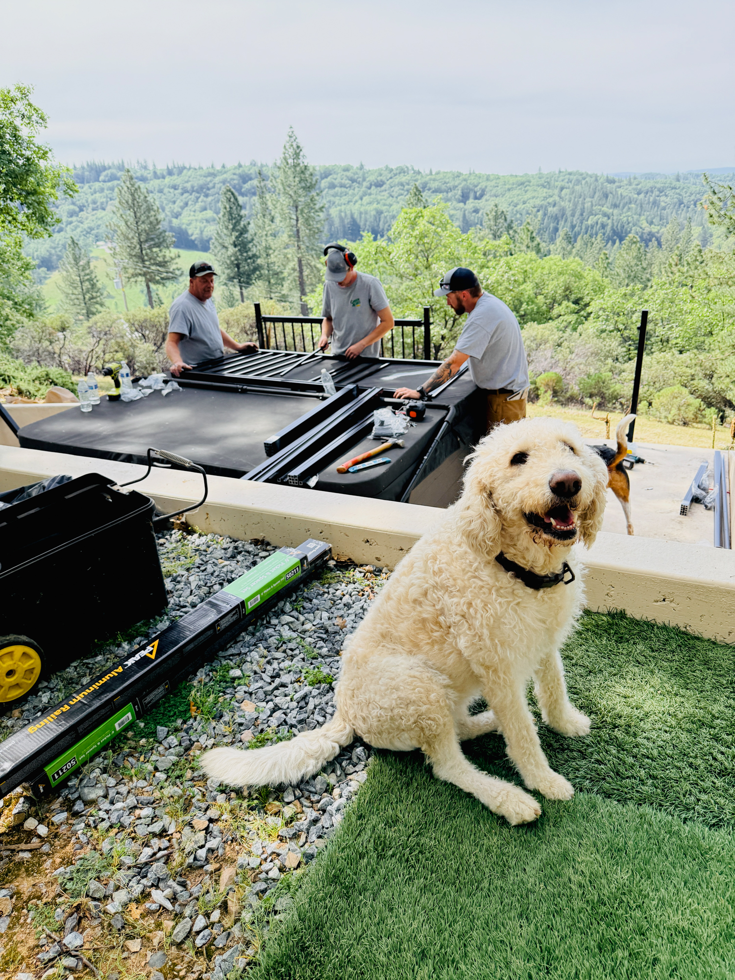 Paynter crew on the job